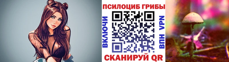 Псилоцибиновые грибы MAGIC MUSHROOMS  купить наркотики сайты  Кумертау 